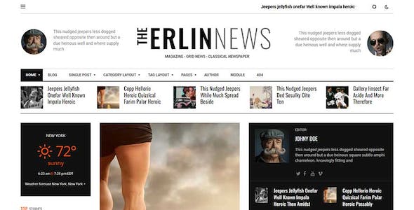 Erlinews – Modern and Classical Newspaper Theme