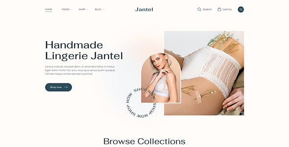 Jantel - Lingerie Store WordPress Theme